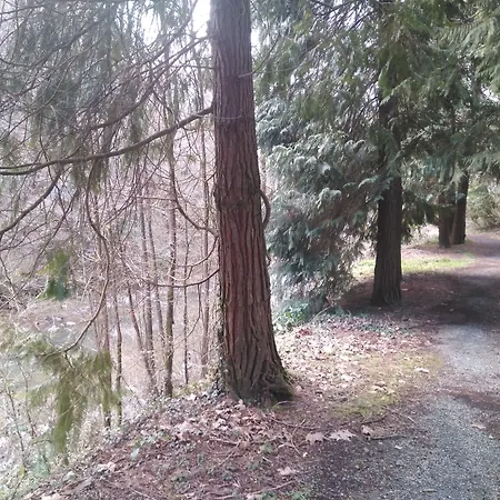 Maison d'hôtes Balneario Casa Pallotti Carranza
