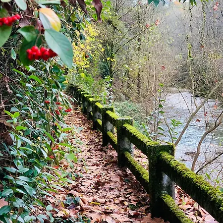 Guest house Balneario Casa Pallotti *