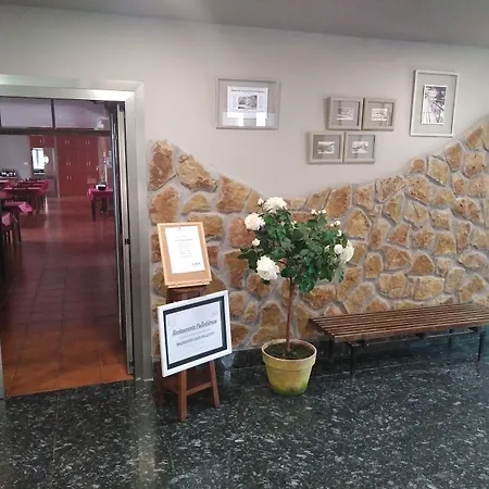 Guest house Balneario Casa Pallotti *