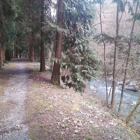 Guest house Balneario Casa Pallotti *