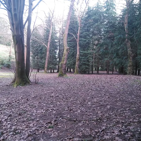 Guest house Balneario Casa Pallotti